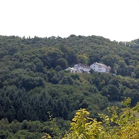 Hotel Burg-hotel Obermoschel