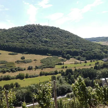 Burg-hotel Obermoschel