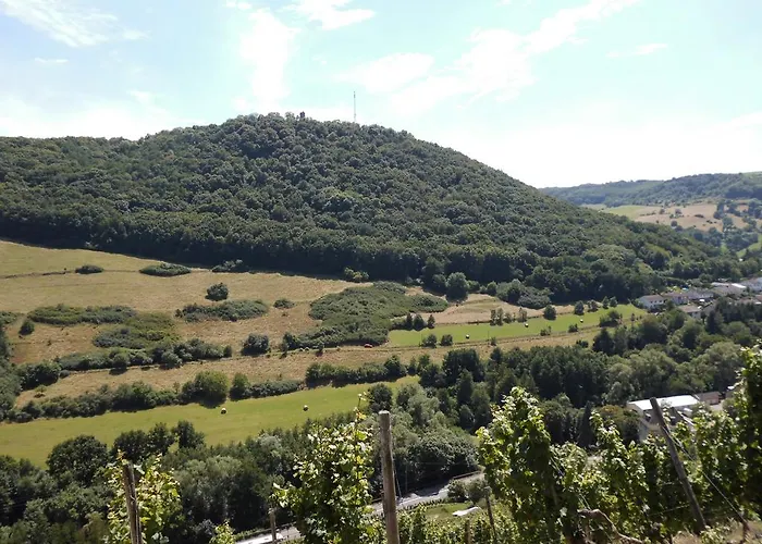 Burg-hotel Obermoschel